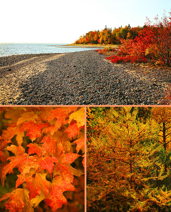 Northern Michigan